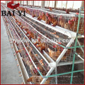 A Type Chicken Layer Cage Chicken cage for Tropical Climate